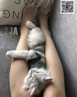 xxxxxxxxhd动漫_HDHD在线观看