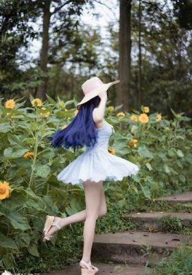 珠帘玉幕电视剧免费观看_1080P全集在线观看